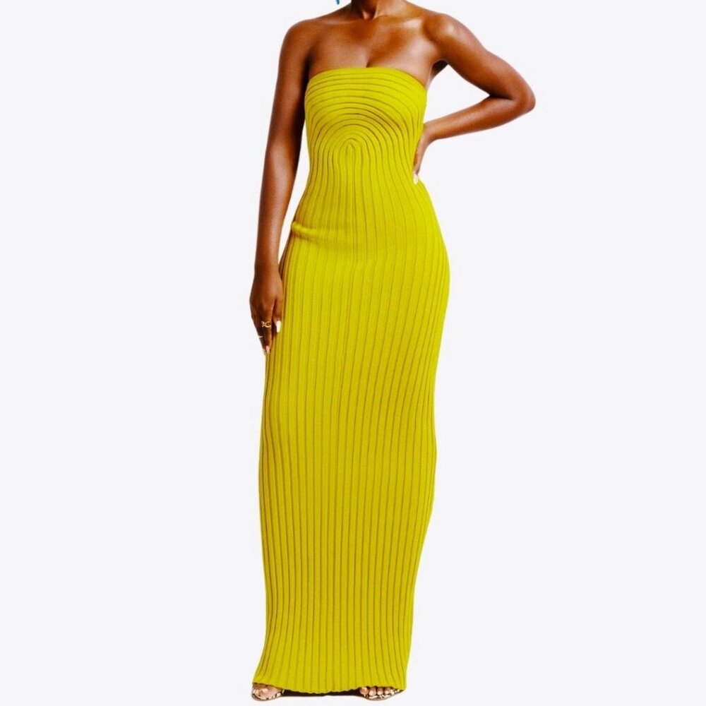 Hanifa Roxi Knit Tube Maxi Dress - Brand New